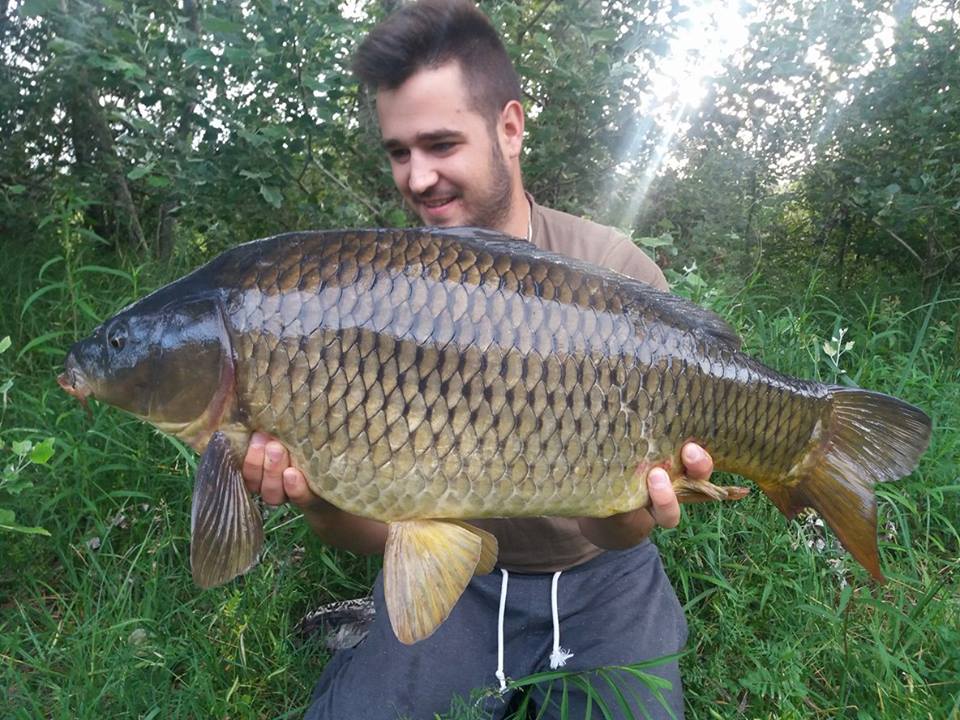 2017_lukcs_albert_82kg_62cm_tponty.jpg