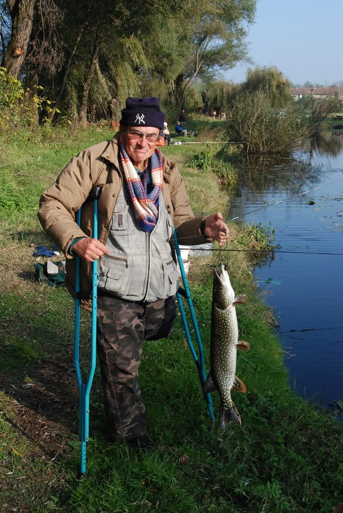 csuka__5_kg_deli_gyorgy_1024_allo.jpg