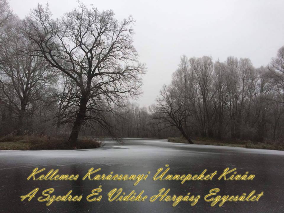 karcsonyi_dvzlet.jpg